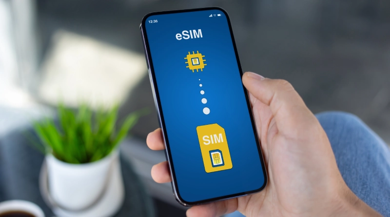 eSIM temporal